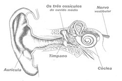 Reiki Xamânico com Cones Hindus