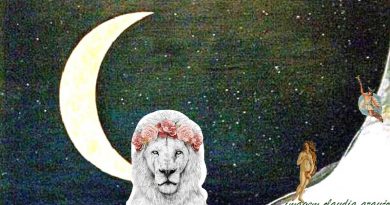 Lua Minguante em Leão: Mercúrio em Sagitário e VênusRx em Libra