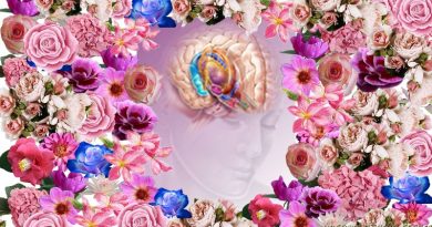 Óleos essenciais e Aromaterapia