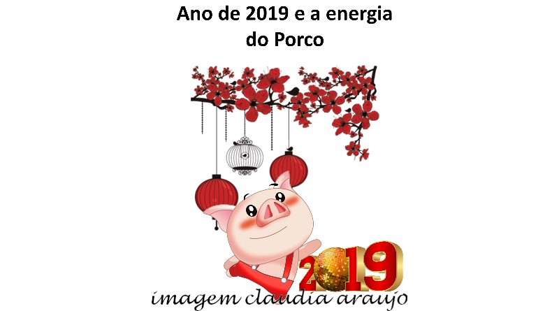 Ano de 2019 e a energia do Porco