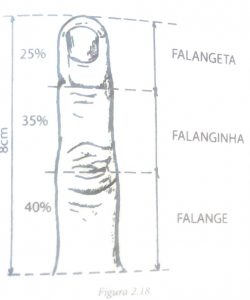 Dedos parte 2 - Indicador – o dedo de Júpiter