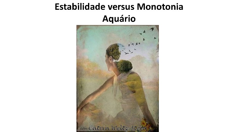 Estabilidade versus Monotonia