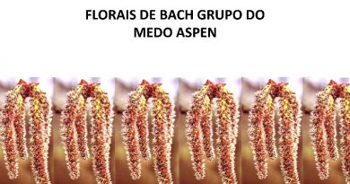 FLORAIS DE BACH GRUPO DO MEDO ASPEN