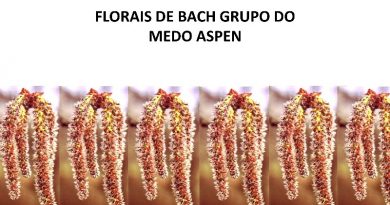 FLORAIS DE BACH GRUPO DO MEDO ASPEN