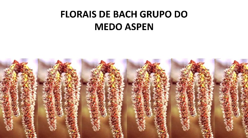 FLORAIS DE BACH GRUPO DO MEDO ASPEN