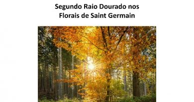 Segundo Raio Dourado nos Florais de Saint Germain