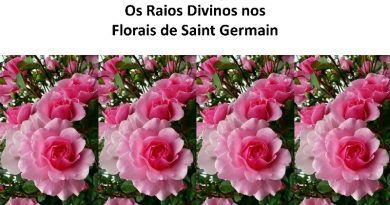 Os Raios Divinos nos Florais de Saint Germain