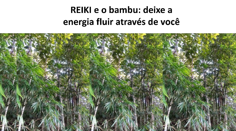 REIKI e o bambu: deixe a energia fluir através de você