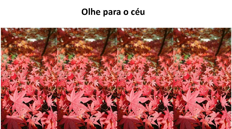 Olhe para o céu