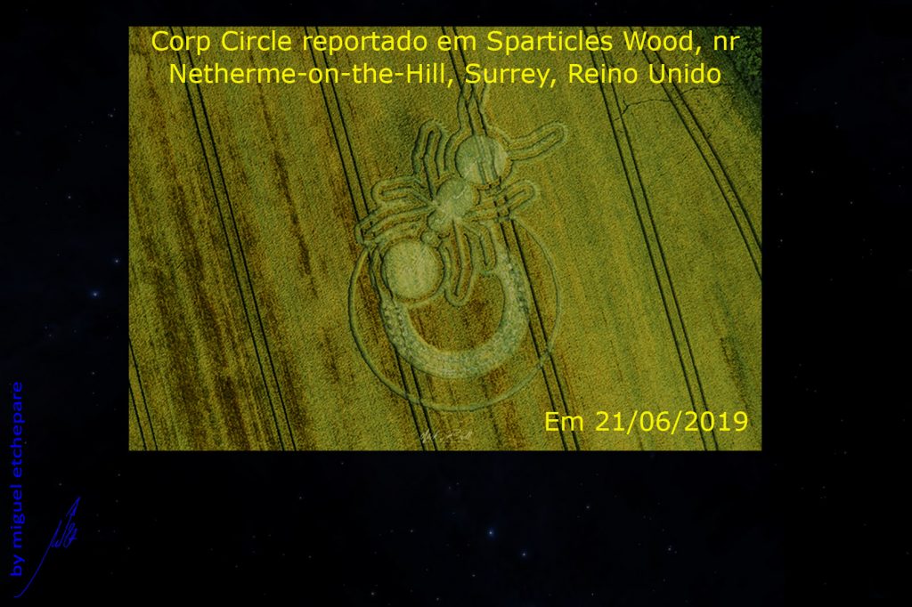 Simple Crop Circle Formiga