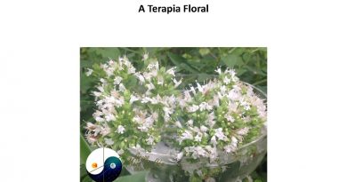A Terapia Floral