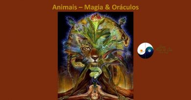 Animais – Magia & Oráculos