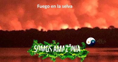 Fuego en la selva