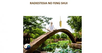 RADIESTESIA NO FENG SHUI