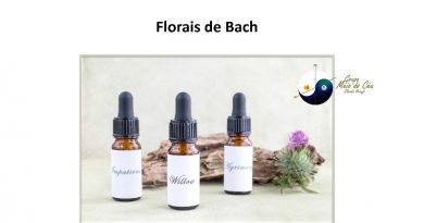 Florais de Bach