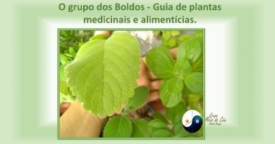 O grupo dos Boldos - Guia de plantas medicinais e alimentícias.