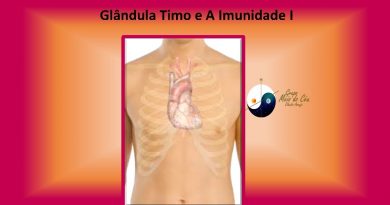 Glândula Timo e A Imunidade I