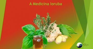 A Medicina Ioruba