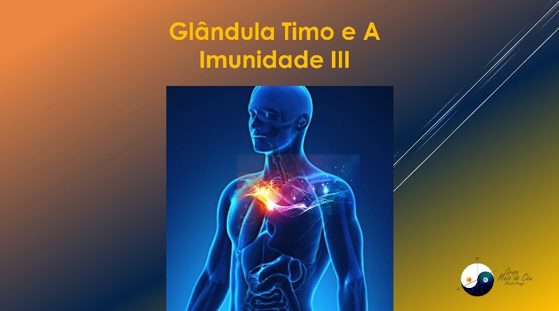 Glândula Timo e A Imunidade III