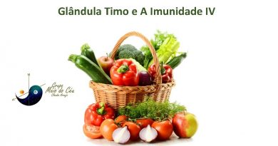 Glândula Timo e A Imunidade IV