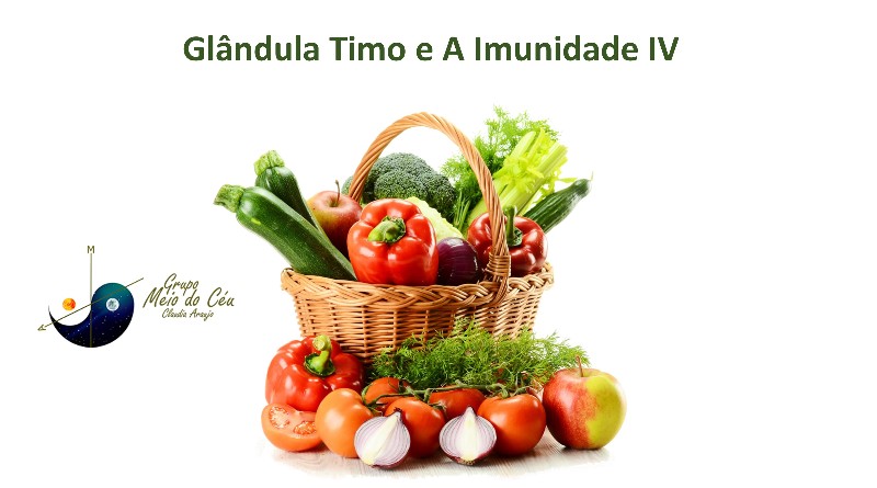 Glândula Timo e A Imunidade IV