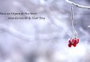Neve na véspera de Ano Novo - uma divinação de Shao Yong