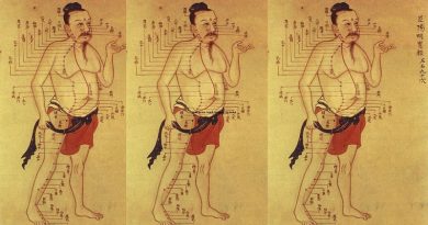 Medicina Tradicional Chinesa O TAO da Saúde