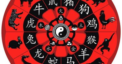 As energias Yin e Yang e os caminhos da Astrologia Chinesa