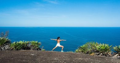 Falando sobre o Ayurveda