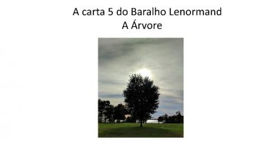 Encontro com o oráculo - A Árvore Lenormand