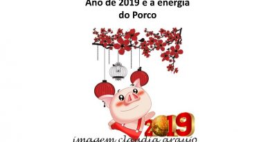 Ano de 2019 e a energia do Porco