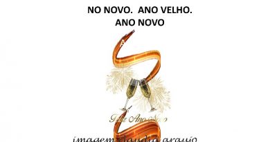 NO NOVO. ANO VELHO. ANO NOVO