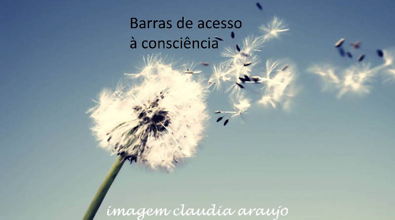 Barras de Acesso à consciência