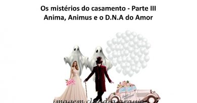 Os mistérios do casamento - Parte III Anima, Animus e o D.N.A do Amor