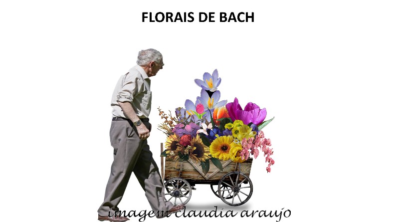 FLORAIS DE BACH
