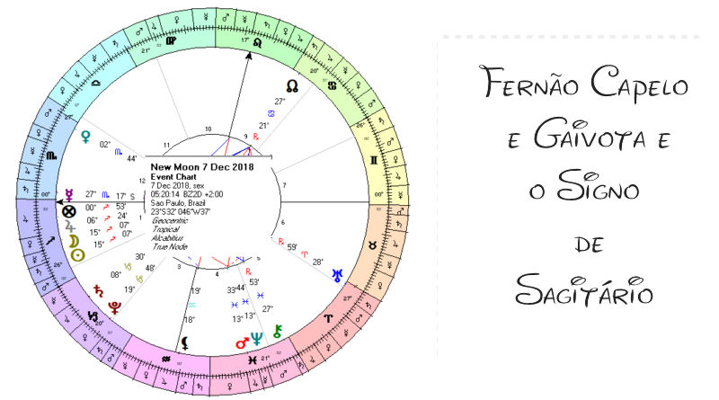 Sagitário e Fernão Capelo e Gaivota