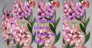 A Terapia com os Florais de Bach