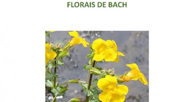 FLORAIS DE BACH