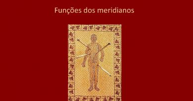 Funções dos meridianos