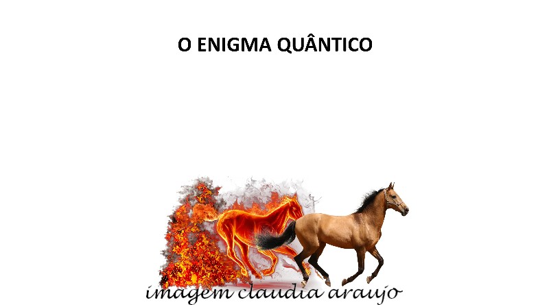 O ENIGMA QUÂNTICO