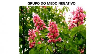 GRUPO DO MEDO NEGATIVO