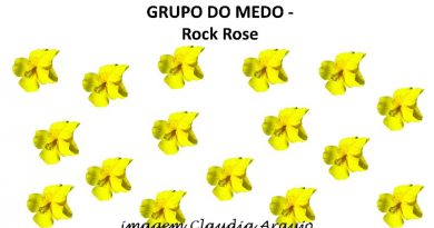 GRUPO DO MEDO - Rock Rose