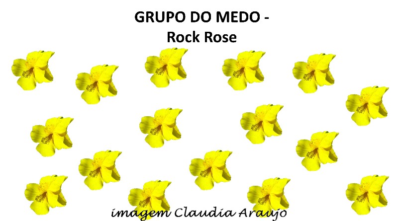 GRUPO DO MEDO - Rock Rose