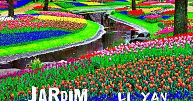 jardim