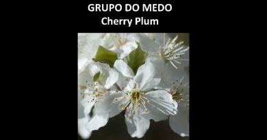 GRUPO DO MEDO Cherry Plum