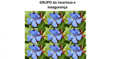 GRUPO da incerteza e insegurança