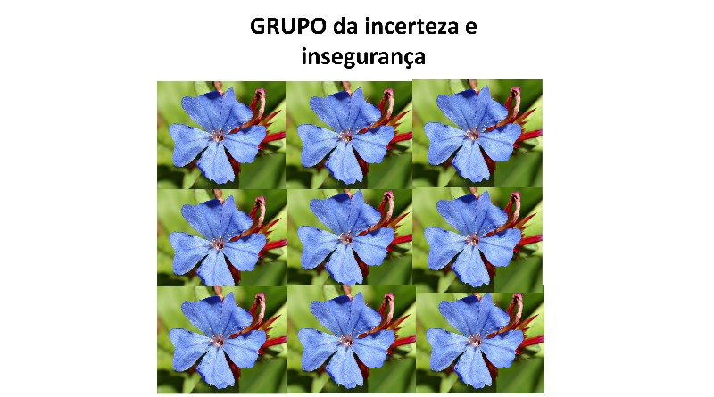 GRUPO da incerteza e insegurança