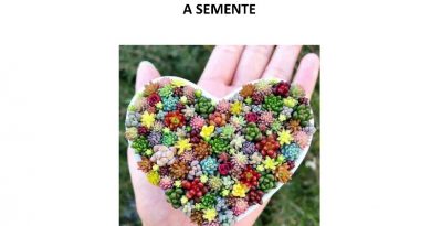 semente