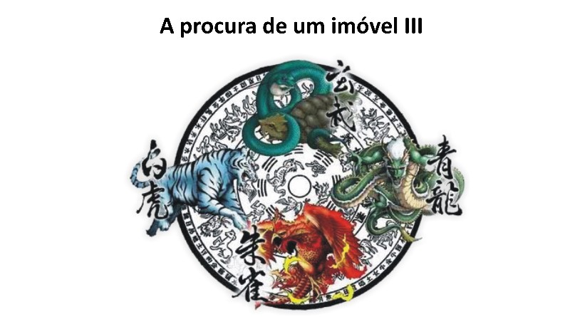 A procura de um imóvel III