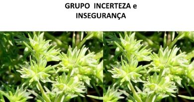 GRUPO INCERTEZA e INSEGURANÇA